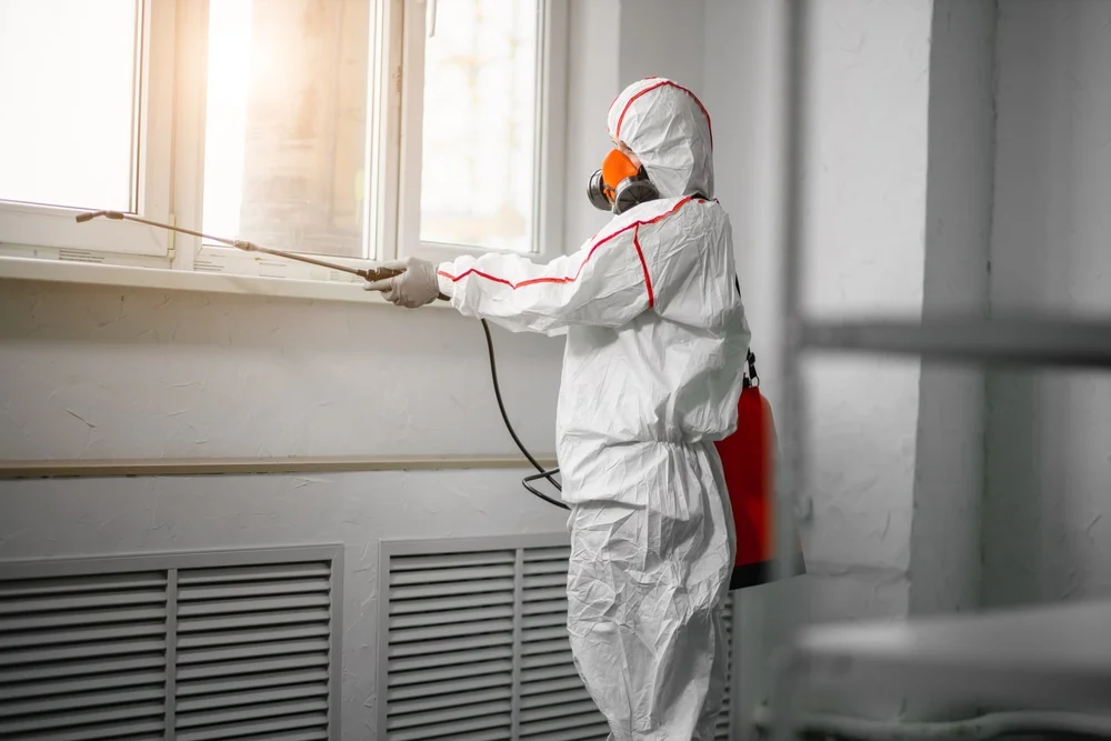 Professional mold remediation services in Maxwell, TX